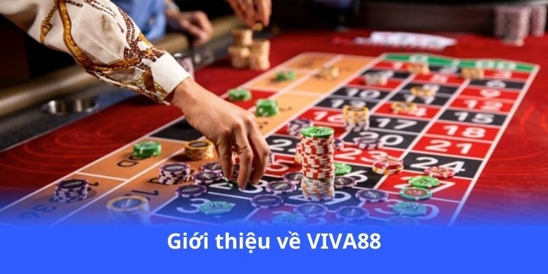 gioi-thieu-ve-viva88